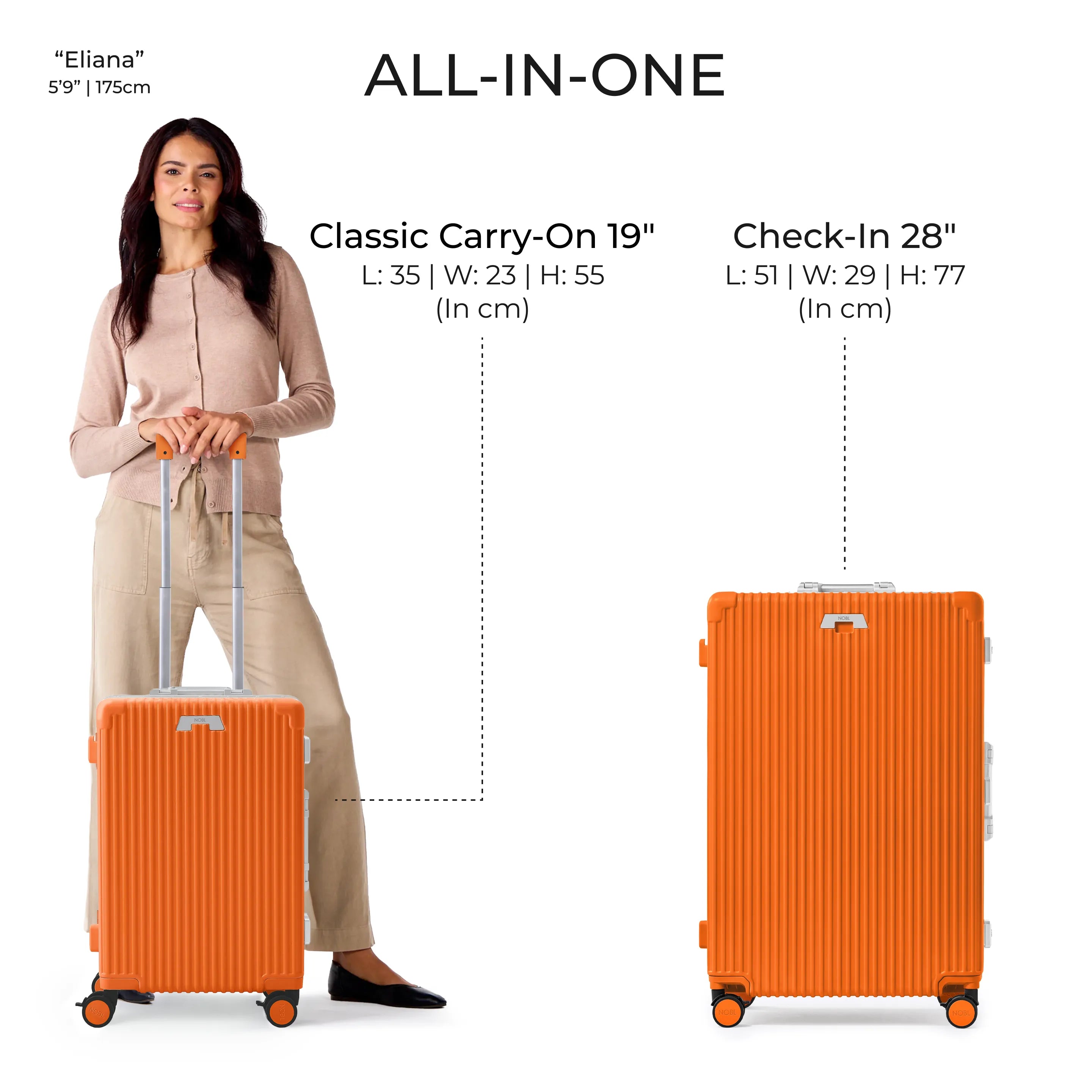 Mobile Image for Sorbet Orange