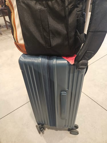 Sandra H.'s review